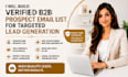 build targeted b2b email list for lead generation, cold email campaigns