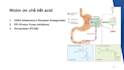 create professional medical and healthcare powerpoint presentations