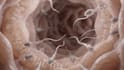create 3d medical animation scientific animation and medical explainer video