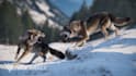 create realistic 3d animal character, 3d modeling and 3d animation