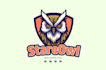 do modern high qulity amazing owl logo