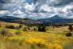 paint landscape in oil painting