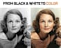 colorize black and white photos with realistic colors