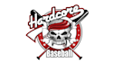 design high quality baseball mascot logo with free source file