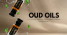 do 3d animation and graphics design and website designing