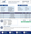 design a professional excel invoice template with automation