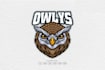 do make an excellent custom bird, owl logo