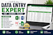 do accurate data entry, copy paste, excel and web research