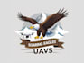 create a powerful eagle mascot logo design