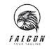 create exclusive and marvelous falcon logo design