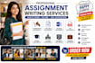 write a professional assigment