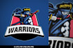 design creative custom ninja, martial arts logo