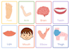 create professional flashcards for revision