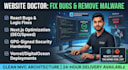 fix bugs and remove issues in your website