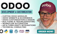 do odoo module development, odoo website customization bug fixes and consulting