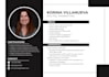 make professional resume and modern CV