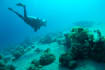 recover true underwater image colors