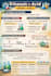 design best educational infographics slides