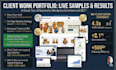 provide full seo service on page optimization and backlinks