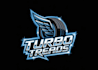 design car racing and automotive logo