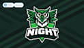 make different night owl bird mascot logo for you