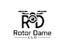 create a professional drone and uav logo design