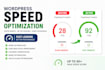 optimize your wordpress website