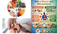 calculate your daily caloric intake or requirement
