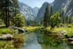 paint landscape in oil painting