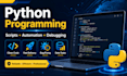 do python programming, scripts, automation and debugging