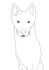 create a custom pet colouring page from your photo