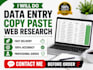 do data entry, copy paste, web research and typing work