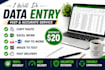 do fast and accurate data entry and copy paste work