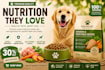 design modern website banners for ecommerce brands