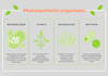 design modern educational or science presentation slides in canva
