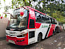 create professional high quality bus videos for your project