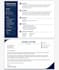 create modern CV and professional resume