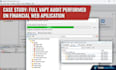 a professional web vapt assessment