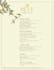 design a stunning restaurant menu