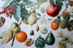 draw botanical watercolor clipart
