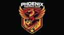 design high quality phoenix bird logo with free source file
