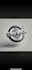 design a modern, luxury and professional logo