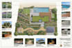 a harmonious landscape backyard, frontyard, patio, pool as a landscape architect