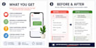 write professional airbnb guest messages and replies
