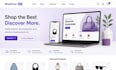 develop modern ecommerce website with payment integration