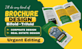 digital canva real estate company booklet brochure one page flyer design
