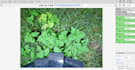 do data annotation, bounding box data labeling annotation