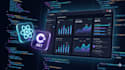 build your custom web application or startup mvp