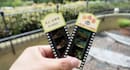 help you buy studio ghibli park tickets