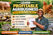 teach you five profitable agribusiness